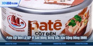 Pate Cột Đèn Là Gì? Vì Sao Bỗng Dưng Gây Bão Cộng Đồng XN88