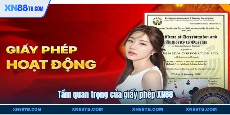 Tầm quan trọng của giấy phép XN88